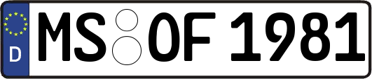 MS-OF1981