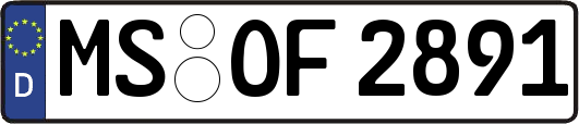 MS-OF2891