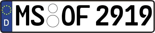 MS-OF2919