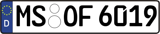 MS-OF6019