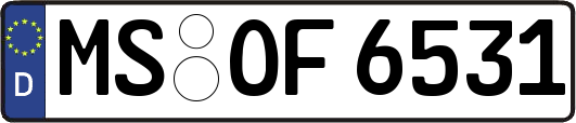 MS-OF6531