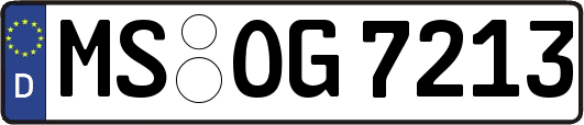 MS-OG7213