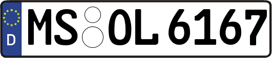 MS-OL6167