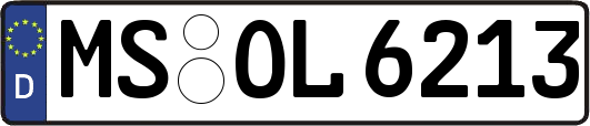 MS-OL6213