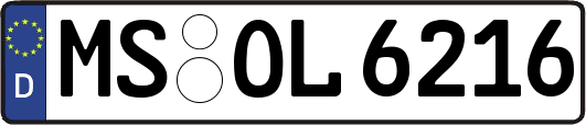 MS-OL6216
