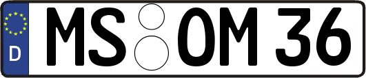 MS-OM36