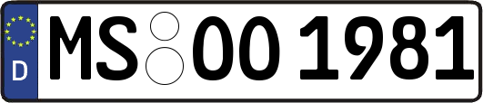 MS-OO1981