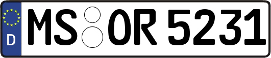 MS-OR5231