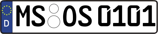 MS-OS0101