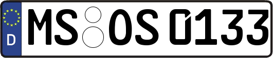 MS-OS0133