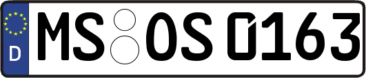 MS-OS0163
