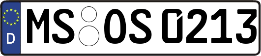 MS-OS0213