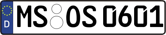 MS-OS0601