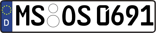 MS-OS0691