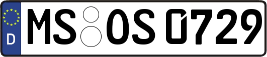MS-OS0729
