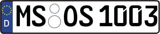 MS-OS1003