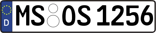 MS-OS1256