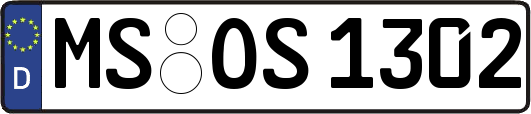 MS-OS1302