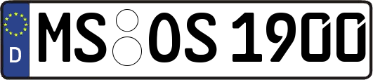 MS-OS1900