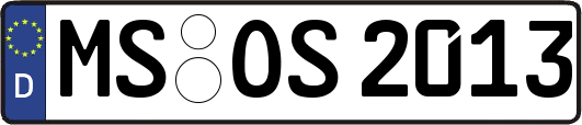 MS-OS2013