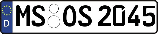MS-OS2045
