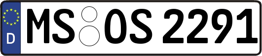 MS-OS2291