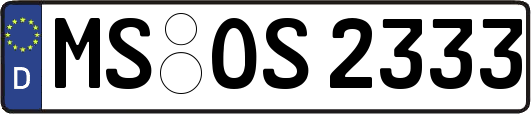 MS-OS2333