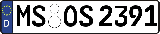MS-OS2391