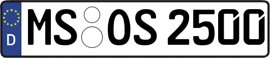 MS-OS2500