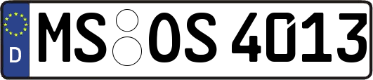MS-OS4013