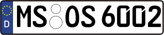 MS-OS6002
