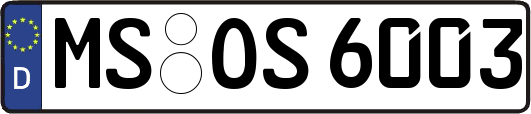 MS-OS6003