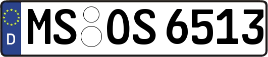 MS-OS6513