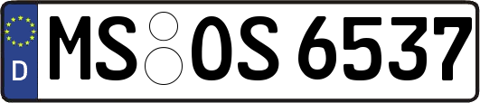 MS-OS6537