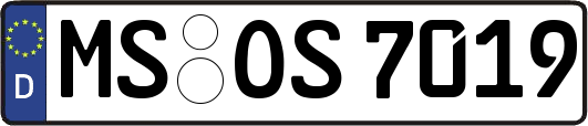 MS-OS7019