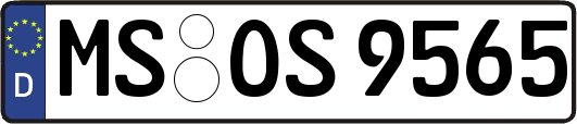 MS-OS9565