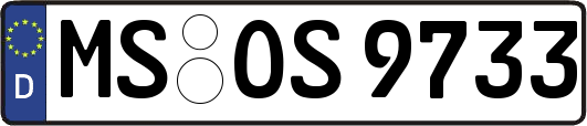 MS-OS9733