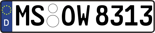 MS-OW8313