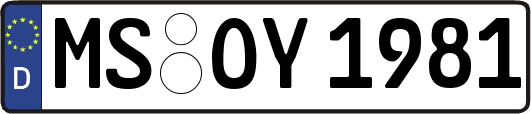 MS-OY1981
