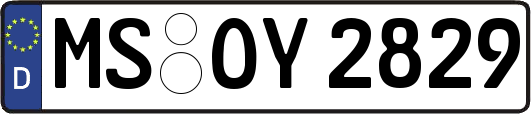 MS-OY2829