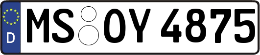 MS-OY4875