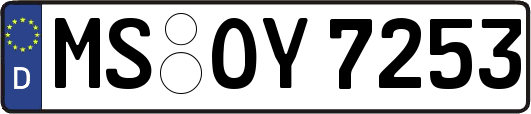 MS-OY7253