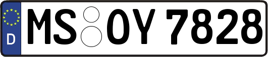 MS-OY7828
