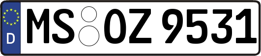 MS-OZ9531