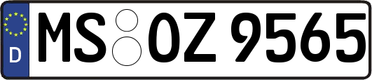 MS-OZ9565