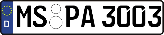 MS-PA3003