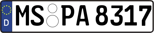 MS-PA8317