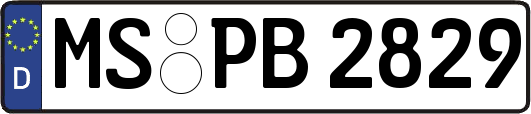 MS-PB2829
