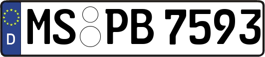 MS-PB7593