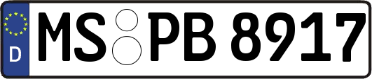 MS-PB8917